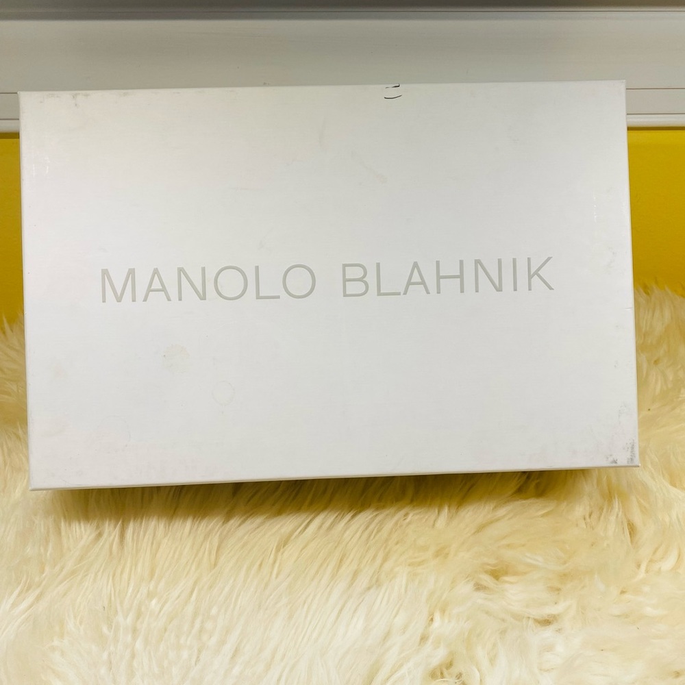 New authentic Manolo Blahnik hangisi 105mm heels - Picture 14 of 16